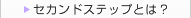セカンドステップとは？