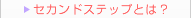 �Z�J���h�X�e�b�v�Ƃ́H